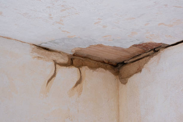 Best Sewage cleanup and water damage restoration  in Gilcrest, CO