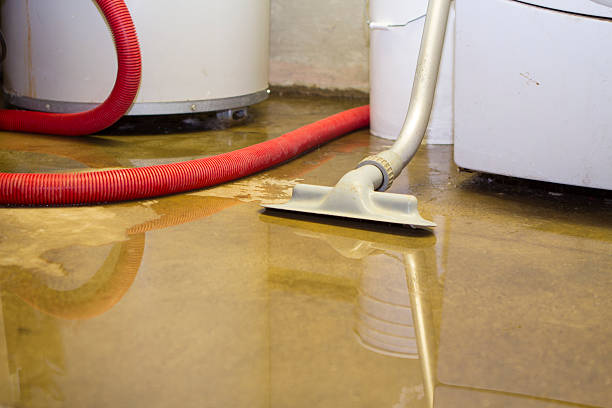 Best 24/7 water damage repair  in Gilcrest, CO