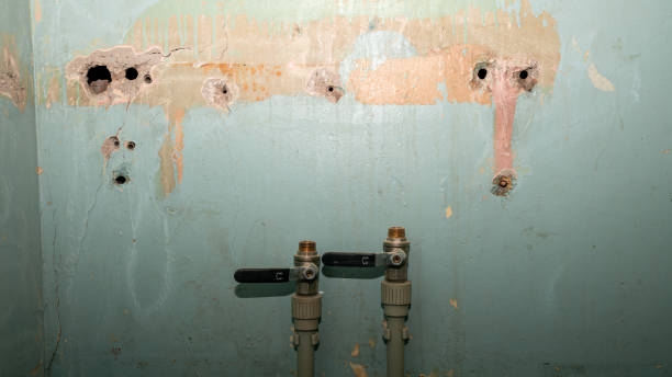Best Basement water damage restoration  in Gilcrest, CO
