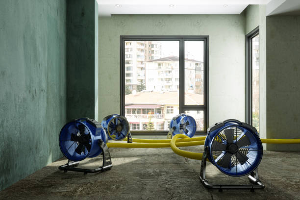 Best 24-hour water damage restoration  in Gilcrest, CO